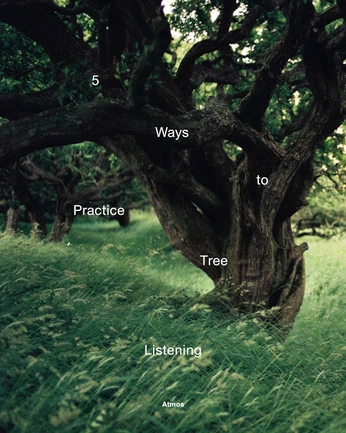 A cover of "grids" cluster. The owner is brau.ayala. The cluster consists of 18 elements.