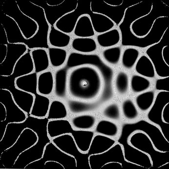 A cover of "squiggle" cluster. The owner is hairad. The cluster consists of 3 elements.