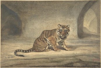 A cover of "Nature" cluster. The owner is jeetv. The cluster consists of 26 elements.