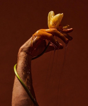 A cover of "BEAUTY" cluster. The owner is leakauffmann. The cluster consists of 28 elements.