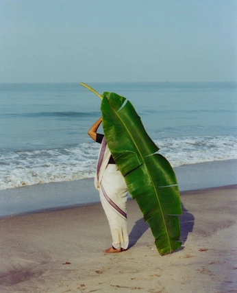 A cover of "Kerala" cluster. The owner is jake17. The cluster consists of 10 elements.