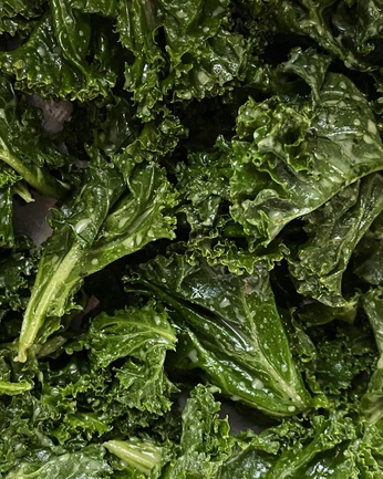 A cover of "Health and wellness" cluster. The owner is haleyeerickson. The cluster consists of 5 elements.