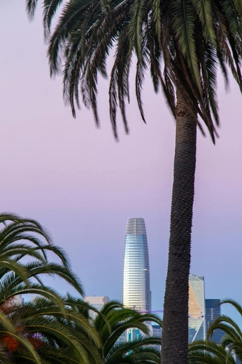 A cover of "Matte L.A." cluster. The owner is blackroster. The cluster consists of 111 elements.