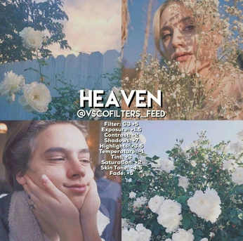 A cover of "Photos & Editing" cluster. The owner is willow296. The cluster consists of 62 elements.