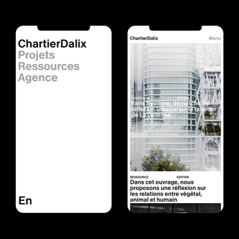 A cover of "网站" cluster. The owner is whatdahelldesign. The cluster consists of 2 elements.