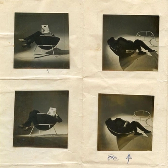 A cover of "design" cluster. The owner is sasha7. The cluster consists of 3 elements.