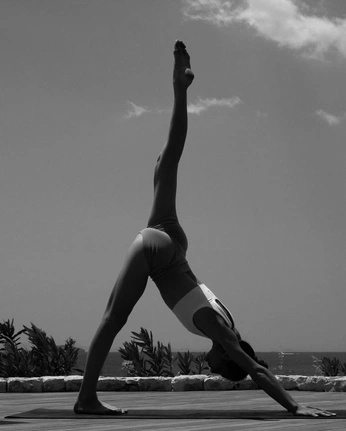 A cover of "enterprise" cluster. The owner is laylaboe.horan. The cluster consists of 46 elements.