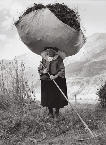 A cover of "scrap" cluster. The owner is starlighty. The cluster consists of 5 elements.