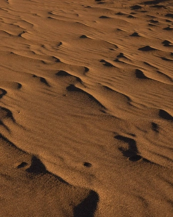 A cover of "sand dweller" cluster. The owner is dakinzzz. The cluster description is "lose your body, find your soul. ". The cluster consists of 55 elements.