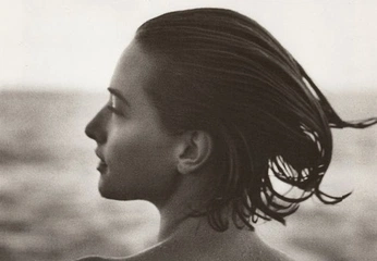 A cover of "版畫" cluster. The owner is bingxiu. The cluster consists of 1 element.