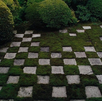 A cover of "Landscape" cluster. The owner is qwery. The cluster consists of 2 elements.