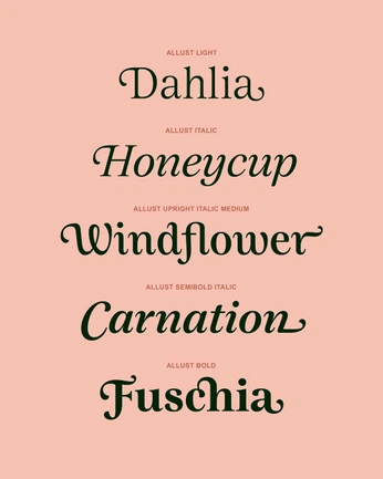 A cover of "Fonts" cluster. The owner is gabyboundless. The cluster consists of 14 elements.