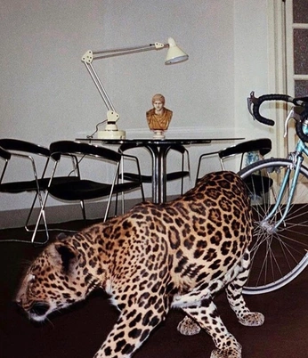 A cover of "eclectic" cluster. The owner is deikze. The cluster consists of 16 elements.