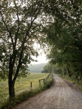 A cover of "Peace" cluster. The owner is thelanemiller. The cluster consists of 2 elements.