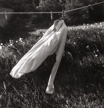 A cover of "mollette" cluster. The owner is ottoz. The cluster consists of 38 elements.