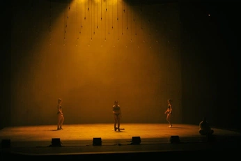 A cover of "TCL x JL" cluster. The owner is paulcrivera. The cluster consists of 65 elements.