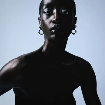 A cover of "luminous mahogany" cluster. The owner is liday0991. The cluster consists of 58 elements.