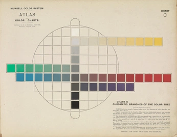 A cover of "color" cluster. The owner is mariapaz.catalan. The cluster consists of 38 elements.