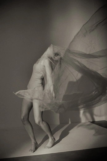 A cover of "ied" cluster. The owner is hhectormc. The cluster consists of 3 elements.