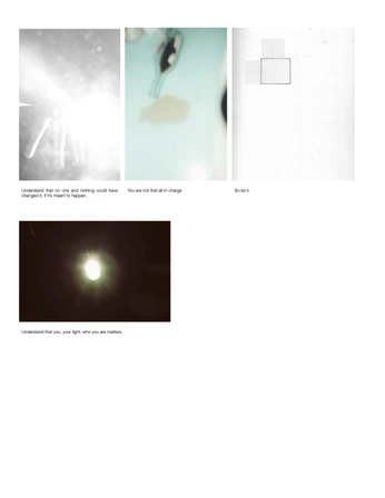 A cover of "filestudy.001" cluster. The owner is sophiavillesen. The cluster consists of 13 elements.