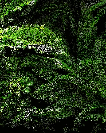 A cover of "animations" cluster. The owner is mariconidi. The cluster consists of 1 element.