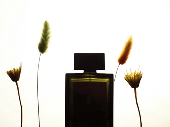 A cover of "Perfume shooting" cluster. The owner is sophiatij. The cluster consists of 30 elements.