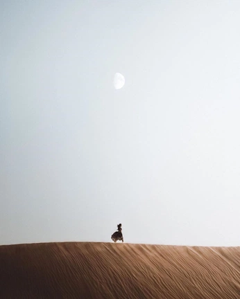 A cover of "Aesthetics" cluster. The owner is ag.sujal. The cluster consists of 2 elements.