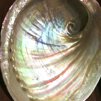 A cover of "Pearl" cluster. The owner is lstilling. The cluster consists of 27 elements.