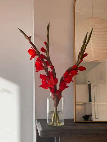 A cover of "mi x x x" cluster. The owner is kgardias. The cluster consists of 51 elements.