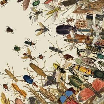 A cover of "JLM" cluster. The owner is rosest. The cluster consists of 42 elements.