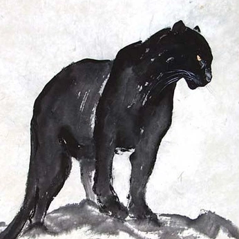 A cover of "ZPL" cluster. The owner is rosest. The cluster consists of 36 elements.