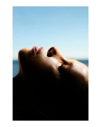 A cover of "Stills" cluster. The owner is humantraits. The cluster consists of 3 elements.