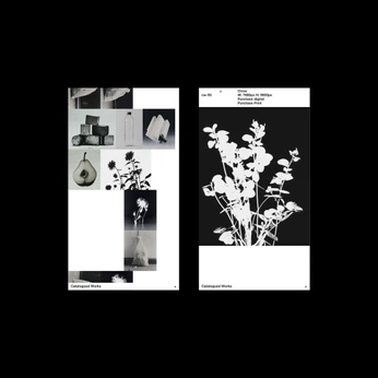 A cover of "fashion magazine" cluster. The owner is antijady. The cluster consists of 2 elements.