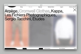 A cover of "web" cluster. The owner is vdmkr. The cluster consists of 25 elements.