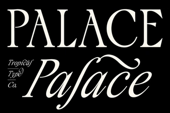 A cover of "Nñg Project" cluster. The owner is liuliu. The cluster consists of 3 elements.