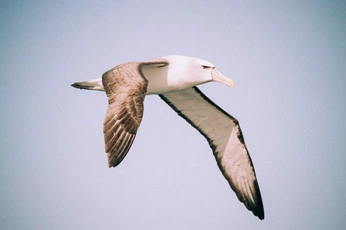 A cover of "on the coast" cluster. The owner is ja202. The cluster consists of 6 elements.