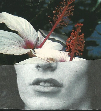 A cover of "collage" cluster. The owner is filmvxz. The cluster consists of 1 element.