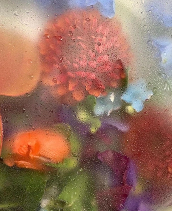 A cover of "flowers behind glass" cluster. The owner is erinwolfkilla. The cluster consists of 7 elements.