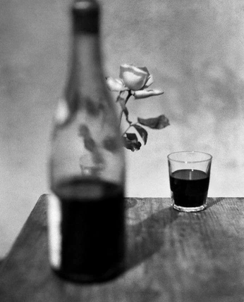 A cover of "LIVING PROOF" cluster. The owner is ninachin. The cluster consists of 20 elements.