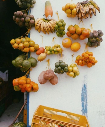 A cover of "ANIMAL SEP" cluster. The owner is keithp. The cluster consists of 23 elements.