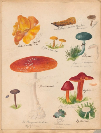 A cover of "Arte" cluster. The owner is saschentrupp. The cluster consists of 18 elements.