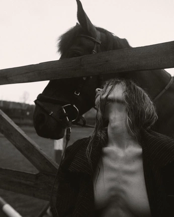 A cover of "Photography" cluster. The owner is patta.studio. The cluster consists of 4 elements.