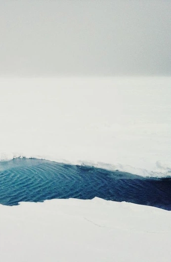 A cover of "cenko)" cluster. The owner is louisemota. The cluster consists of 3 elements.