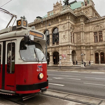 A cover of "vienna." cluster. The owner is dostoevski. The cluster consists of 21 elements.