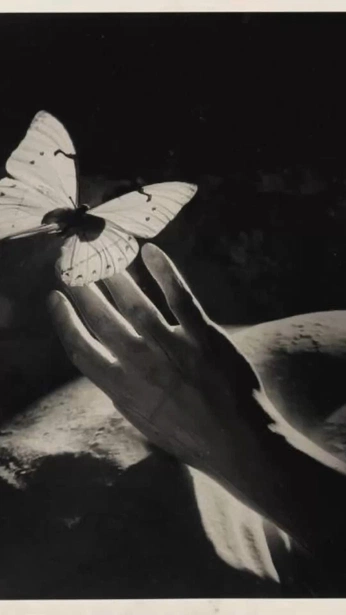 A cover of "weirdcore" cluster. The owner is feral.d0ll. The cluster consists of 13 elements.