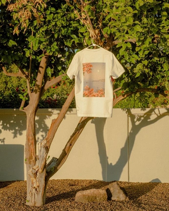 A cover of "DriversClub 2.0" cluster. The owner is cammi. The cluster consists of 6 elements.