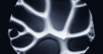 A cover of "CGI" cluster. The owner is arnstadt. The cluster consists of 2 elements.