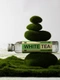 Cover of MATCHA cluster