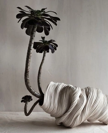 A cover of "SUCCULENTE" cluster. The owner is hurart. The cluster consists of 113 elements.