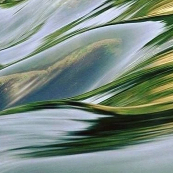 A cover of "serene" cluster. The owner is jwbrandon. The cluster consists of 14 elements.